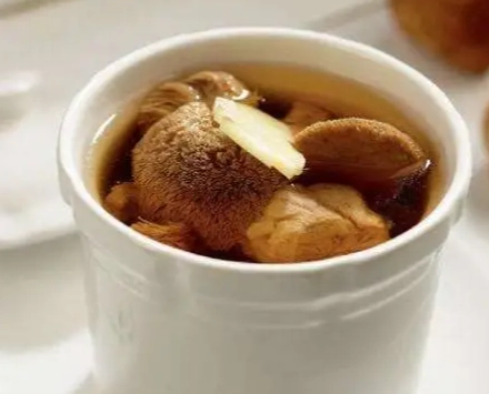 猴頭菇煲湯全攻略：從食譜到餐廳推薦，一次掌握