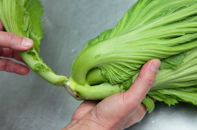 如何炒芥菜不苦