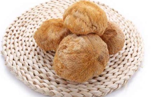猴頭菇副作用完整解析：安全食用指南與風險管理