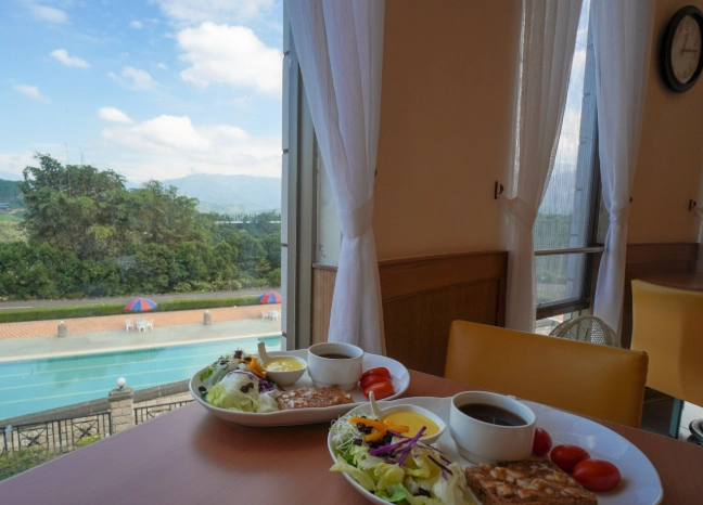 南投素食景觀餐廳TOP 5推薦：美食與山景湖光的完美邂逅