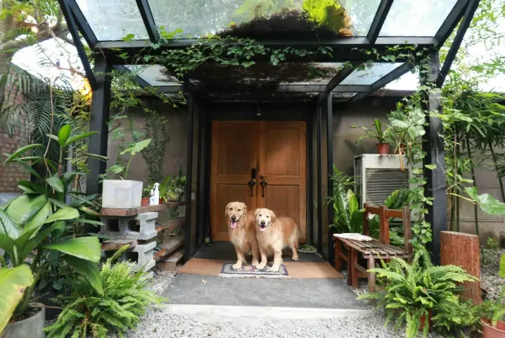 宜蘭寵物友善住宿 宜蘭寵物友善住宿