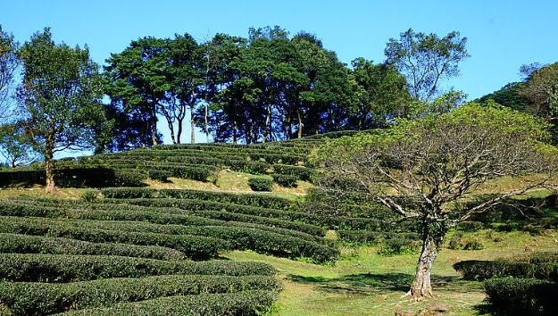 新北市農會文山農場 新北市農會文山農場