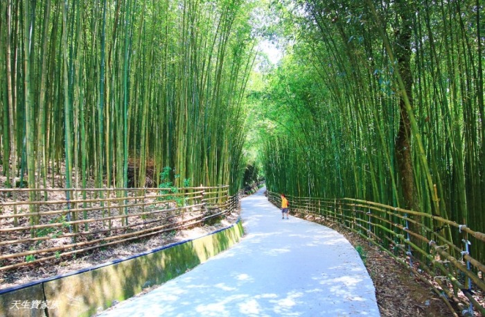 苗栗新景點 苗栗新景點