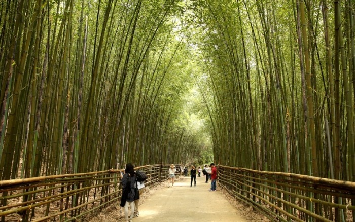 苗栗山上景點 苗栗山上景點