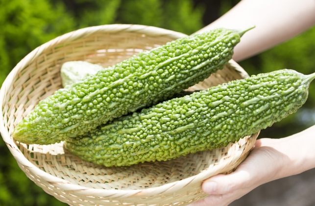 苦瓜料理 苦瓜料理