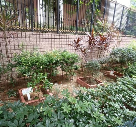 新北市農會文山農場 新北市農會文山農場