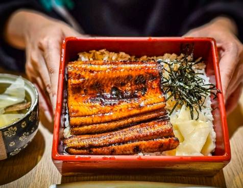台南寵物友善飯店 台南寵物友善飯店