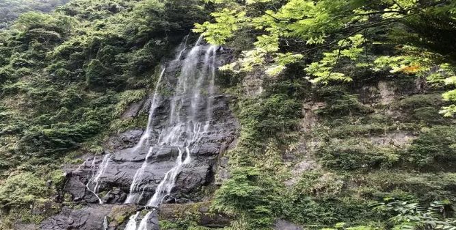 新北市農會文山農場 新北市農會文山農場