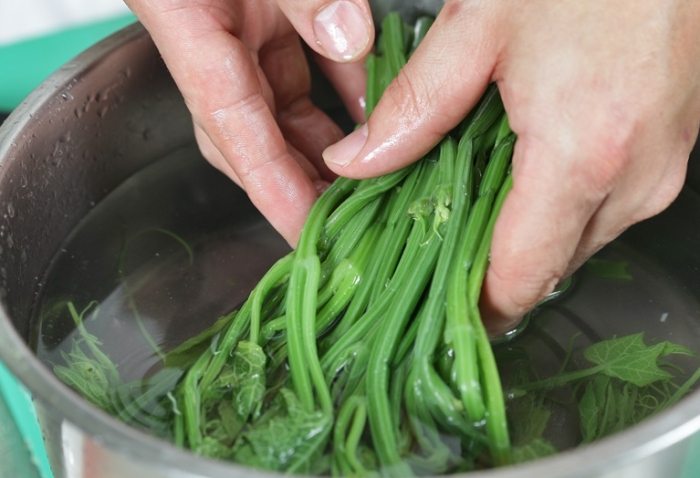 炒龍鬚菜 炒龍鬚菜