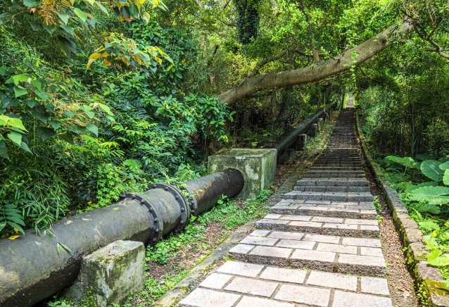天母古道親山步道 天母古道親山步道