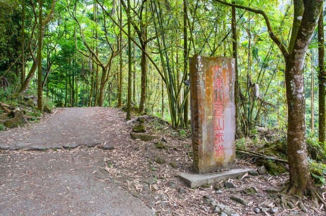 大凍山步道 大凍山步道