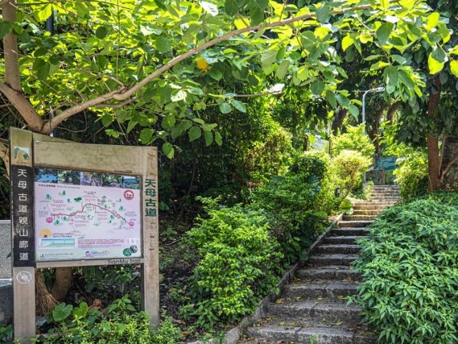天母古道親山步道 天母古道親山步道