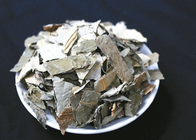 荷葉功效 荷葉功效