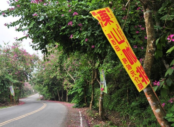 台灣咖啡旅遊