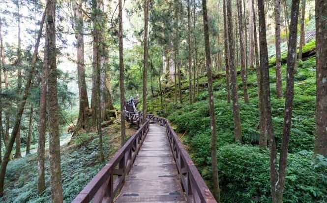 阿里山住宿