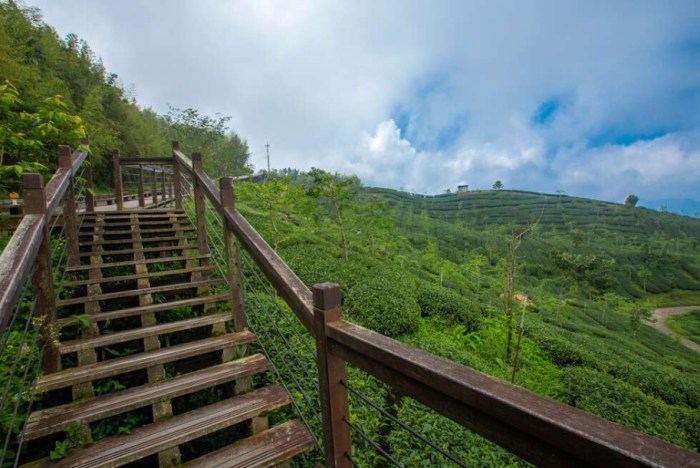 阿里山石棹步道 阿里山石棹步道