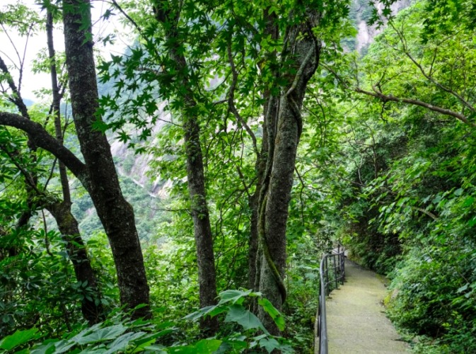 中埔親子旅遊