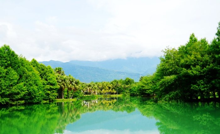 雲山水自然生態 雲山水自然生態