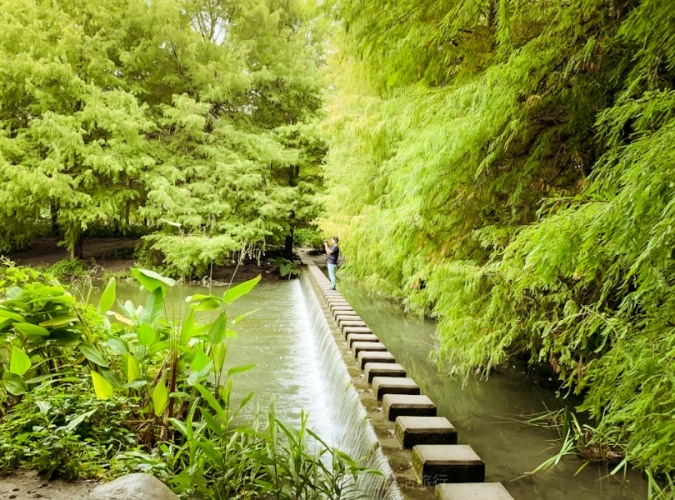 雲山水自然生態 雲山水自然生態