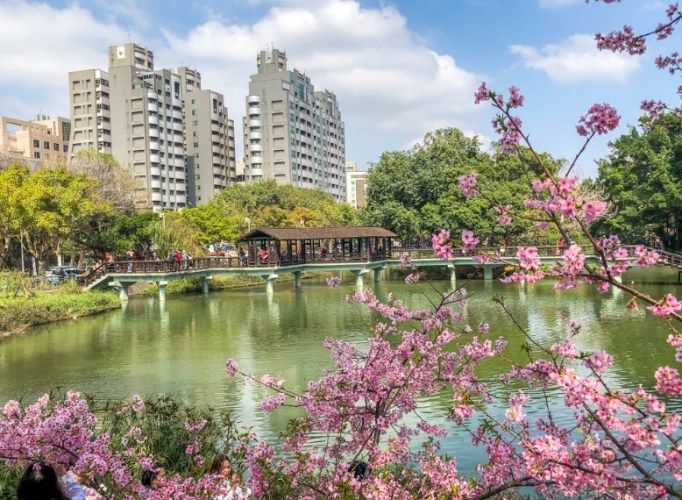 新竹無障礙旅遊 新竹無障礙旅遊
