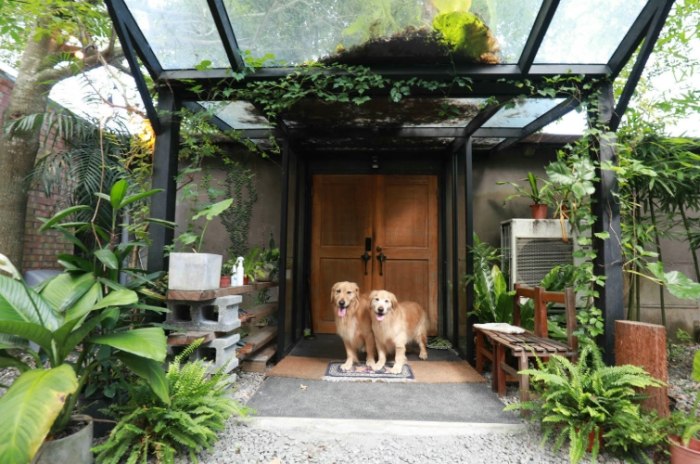 礁溪寵物旅館 礁溪寵物旅館