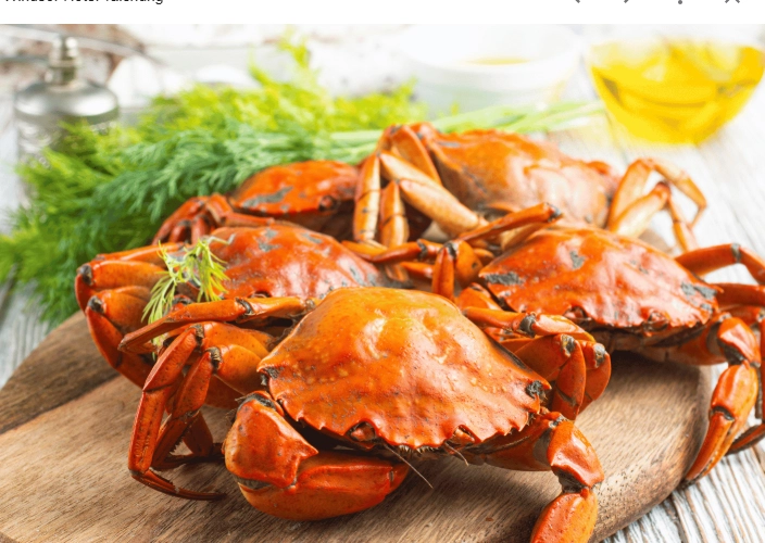 秋季美食推薦 秋季美食推薦