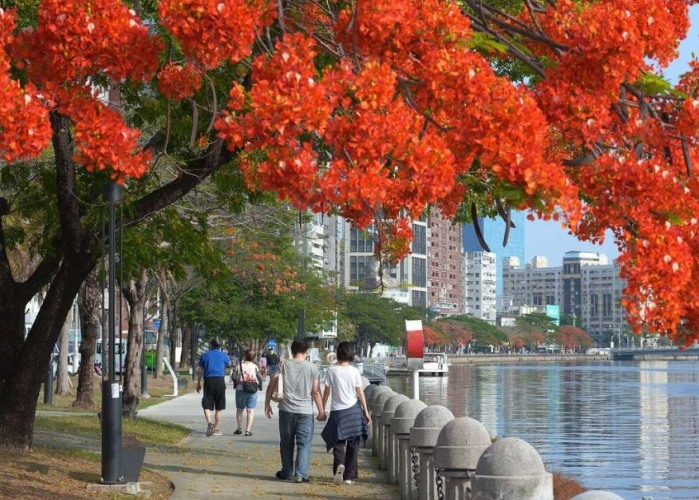 高雄無障礙景點 高雄無障礙景點