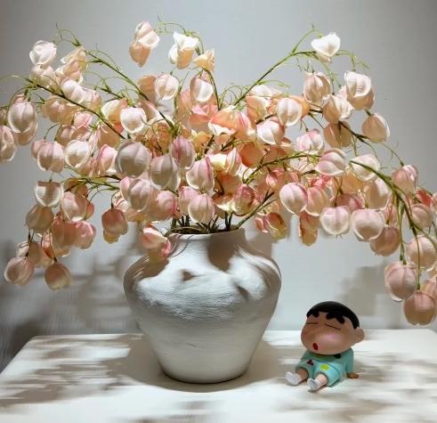 燈籠花養護