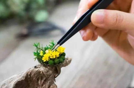永生花課程推薦 永生花課程推薦