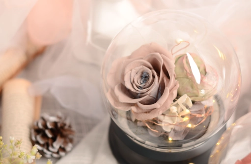 永生花DIY教學 永生花DIY教學