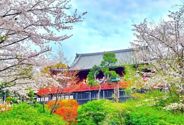 上野深度旅遊 上野深度旅遊
