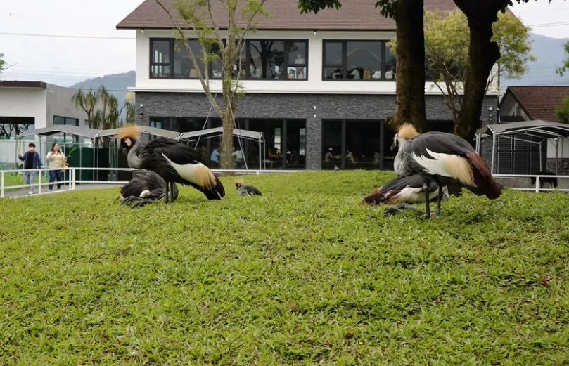 宜蘭農場周邊餐廳 宜蘭農場周邊餐廳