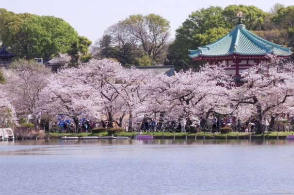 東京上野秘密景點 東京上野秘密景點
