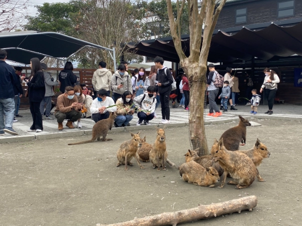 宜蘭農場周邊旅遊 宜蘭農場周邊旅遊