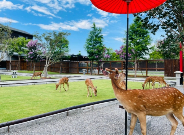宜蘭農場周邊旅遊 宜蘭農場周邊旅遊