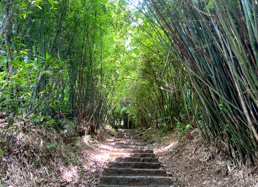 天母古道路線