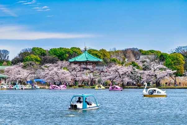 上野深度旅遊 上野深度旅遊