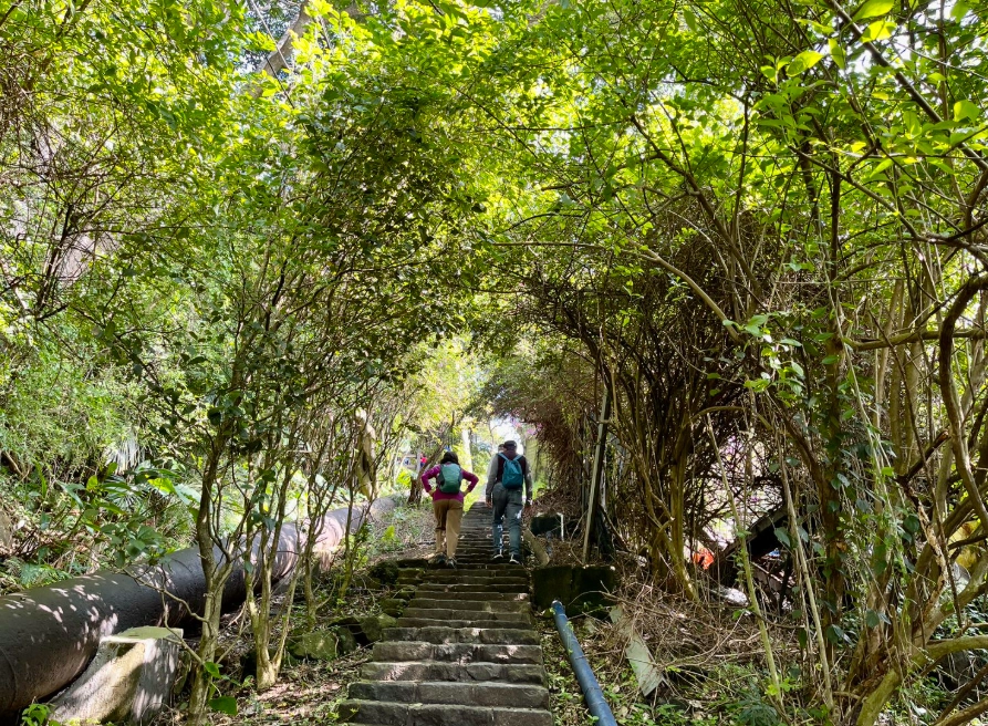 親山步道停車攻略
