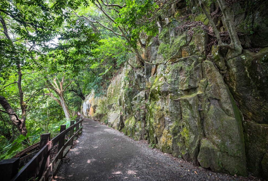 天母古道路線 天母古道路線