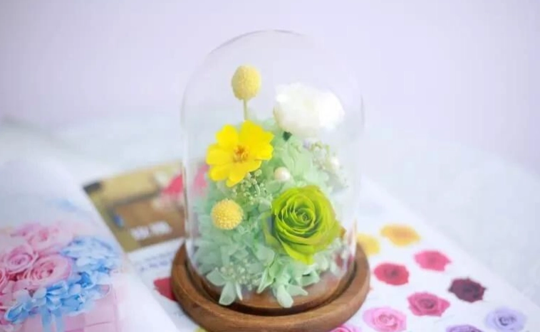 永生花DIY 永生花DIY