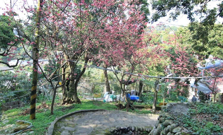 員林旅遊景點 員林旅遊景點