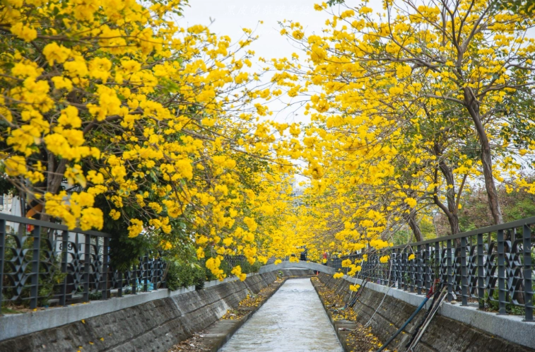 員林旅遊景點 員林旅遊景點