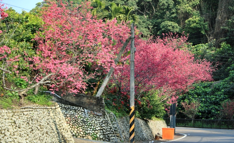 員林旅遊景點 員林旅遊景點
