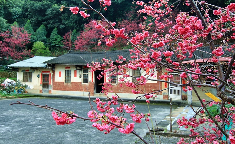 員林隱藏景點 員林隱藏景點