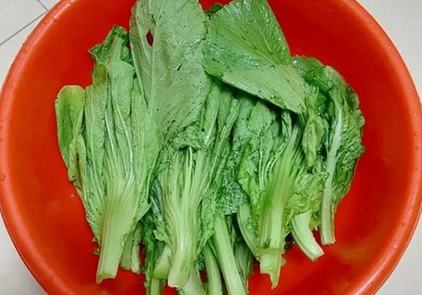 小芥菜營養 小芥菜營養
