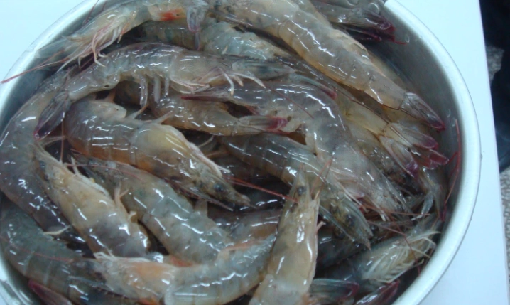 生醃蝦食譜 生醃蝦食譜