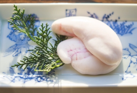 鱈魚白子營養