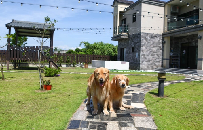 帶寵物旅行民宿 帶寵物旅行民宿