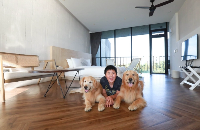 台灣寵物友善住宿 台灣寵物友善住宿