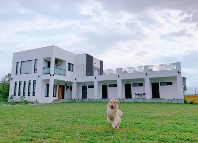 寵物友善住宿中部 寵物友善住宿中部